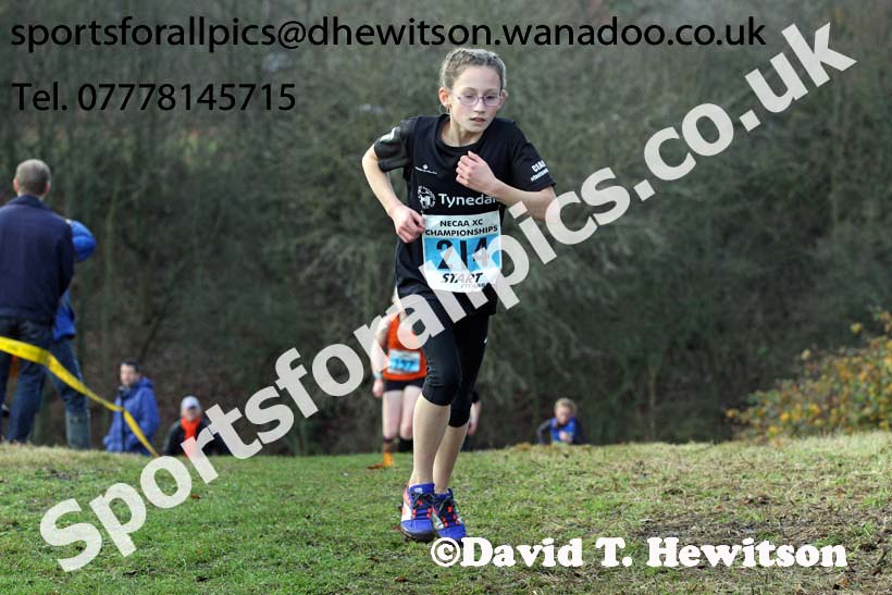 Girls under-13s North Eastern Cross Country, Aykley Heads, Durham. Photo: David T. Hewitson/Sports for All Pics